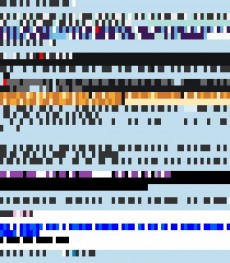 Sunday, May 27, 2012 2:05:42 Twitterscape image