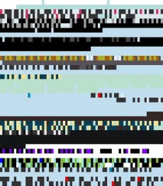 Sunday, June 10, 2012 14:33:58 Twitterscape image