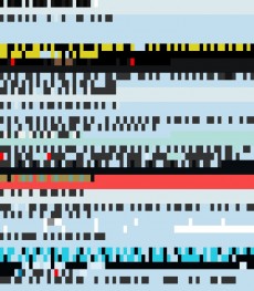 Thursday, June 21, 2012 12:03:43 Twitterscape image