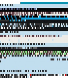 Friday, June 22, 2012 21:34:58 Twitterscape image