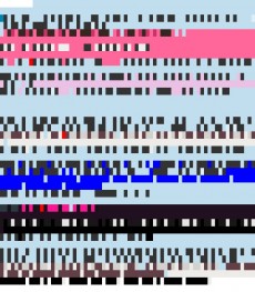 Friday, July 6, 2012 7:25:11 Twitterscape image