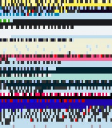 Saturday, August 11, 2012 12:53:22 Twitterscape image