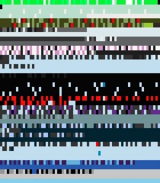 Monday, August 13, 2012 6:49:47 Twitterscape image