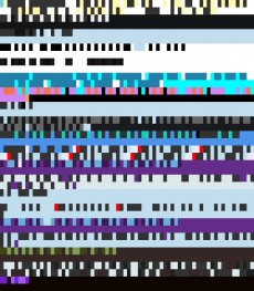 Tuesday, August 21, 2012 6:56:48 Twitterscape image