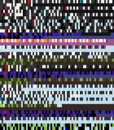 Wednesday, November 7, 2012 11:14:27 Twitterscape image