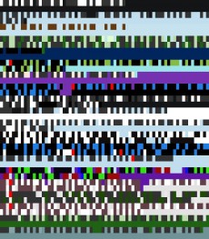 Wednesday, November 7, 2012 12:01:34 Twitterscape image