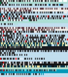 Sunday, November 25, 2012 4:56:05 Twitterscape image