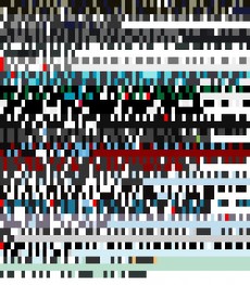 Wednesday, November 28, 2012 10:05:22 Twitterscape image