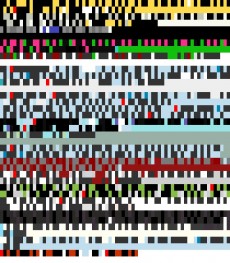 Wednesday, December 5, 2012 8:46:34 Twitterscape image