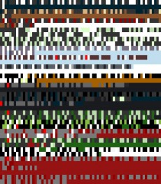 Monday, January 7, 2013 8:36:56 Twitterscape image