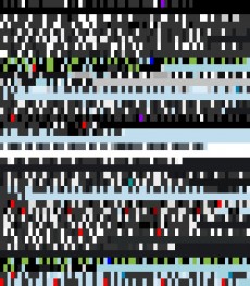 Monday, January 7, 2013 8:45:15 Twitterscape image