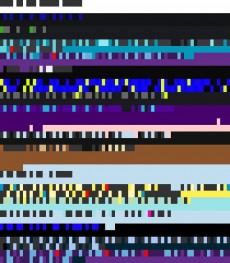 Sunday, September 9, 2012 6:31:22 Twitterscape image