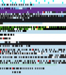 Thursday, September 13, 2012 21:07:39 Twitterscape image